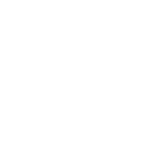 hockey-icon-white